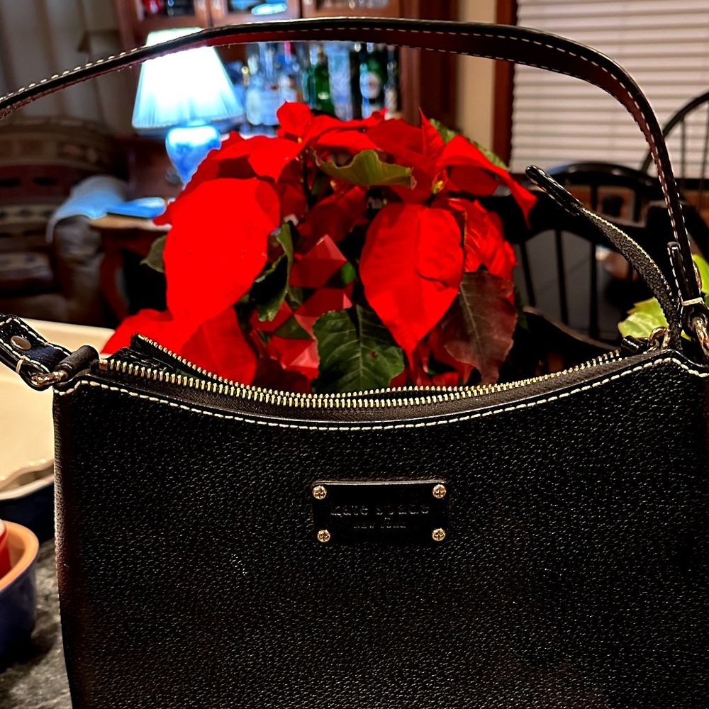 Discounted Shipping - Kate Spade handbag